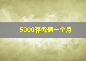 5000存微信一个月