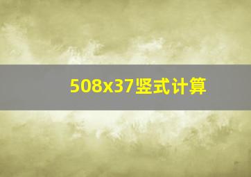 508x37竖式计算