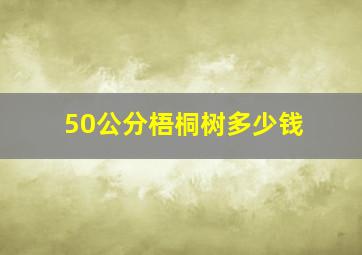 50公分梧桐树多少钱