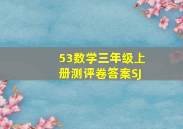 53数学三年级上册测评卷答案SJ