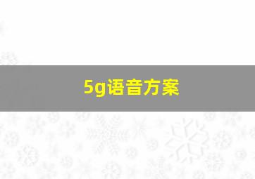 5g语音方案