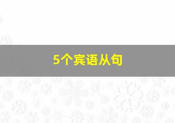 5个宾语从句