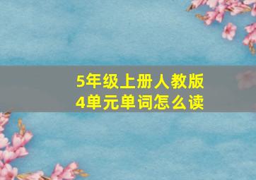 5年级上册人教版4单元单词怎么读