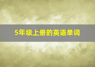 5年级上册的英语单词