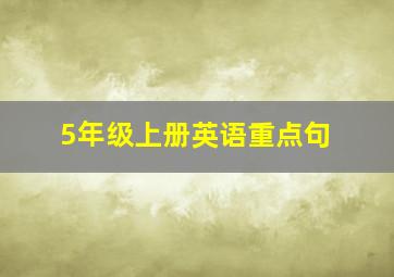 5年级上册英语重点句