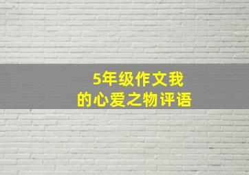 5年级作文我的心爱之物评语