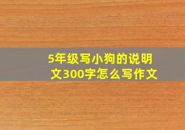 5年级写小狗的说明文300字怎么写作文