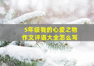 5年级我的心爱之物作文评语大全怎么写