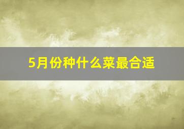 5月份种什么菜最合适