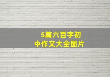 5篇六百字初中作文大全图片