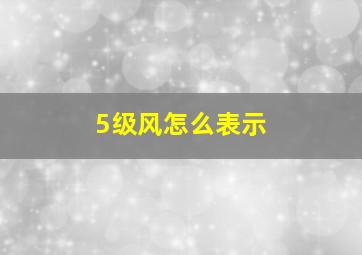 5级风怎么表示