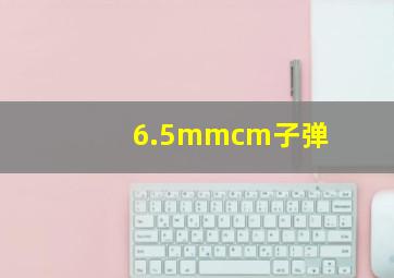 6.5mmcm子弹