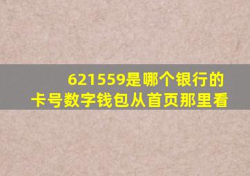 621559是哪个银行的卡号数字钱包从首页那里看