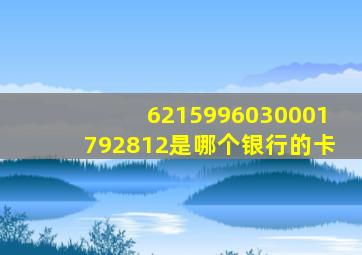 6215996030001792812是哪个银行的卡