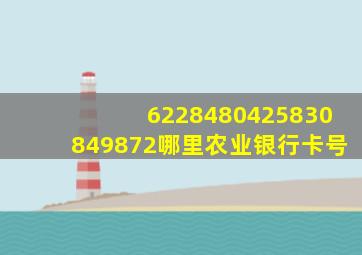 6228480425830849872哪里农业银行卡号