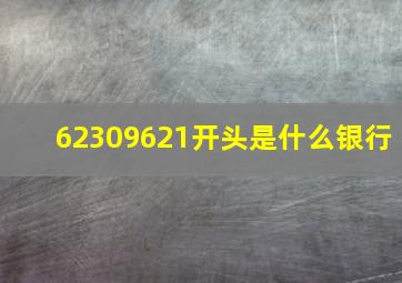 62309621开头是什么银行