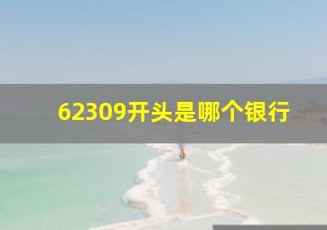 62309开头是哪个银行