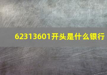 62313601开头是什么银行