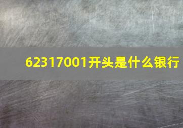 62317001开头是什么银行