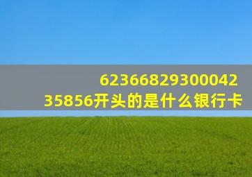 6236682930004235856开头的是什么银行卡