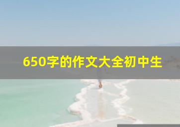 650字的作文大全初中生