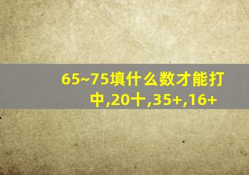 65~75填什么数才能打中,20十,35+,16+