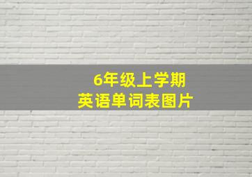 6年级上学期英语单词表图片