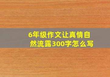 6年级作文让真情自然流露300字怎么写