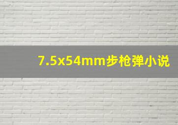 7.5x54mm步枪弹小说