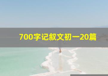 700字记叙文初一20篇