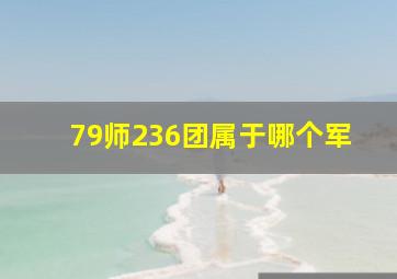 79师236团属于哪个军