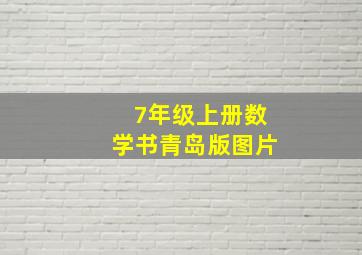 7年级上册数学书青岛版图片