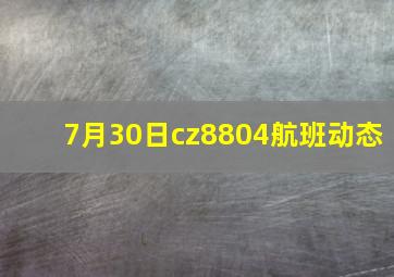 7月30日cz8804航班动态