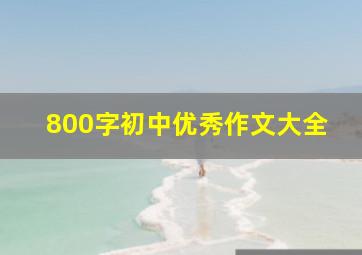 800字初中优秀作文大全