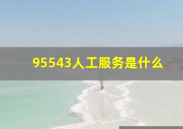 95543人工服务是什么