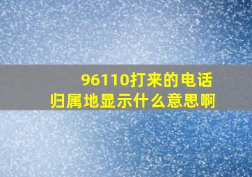 96110打来的电话归属地显示什么意思啊