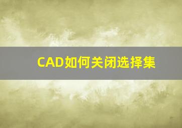 CAD如何关闭选择集