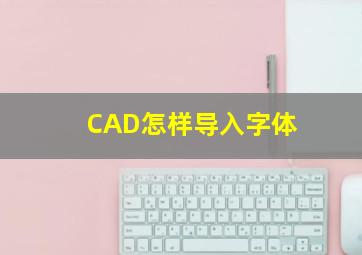 CAD怎样导入字体