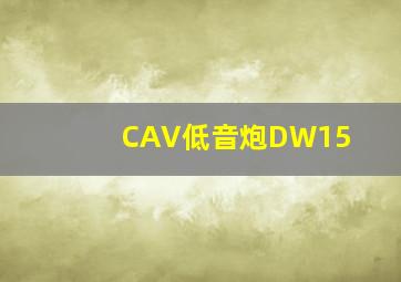 CAV低音炮DW15