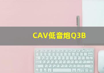 CAV低音炮Q3B