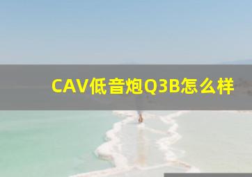 CAV低音炮Q3B怎么样