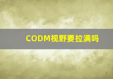 CODM视野要拉满吗