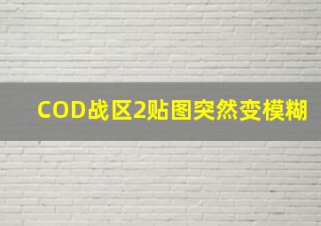 COD战区2贴图突然变模糊