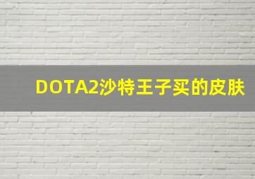 DOTA2沙特王子买的皮肤