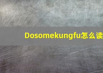 Dosomekungfu怎么读