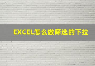 EXCEL怎么做筛选的下拉