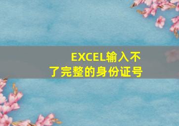 EXCEL输入不了完整的身份证号