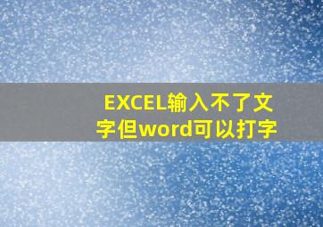 EXCEL输入不了文字但word可以打字