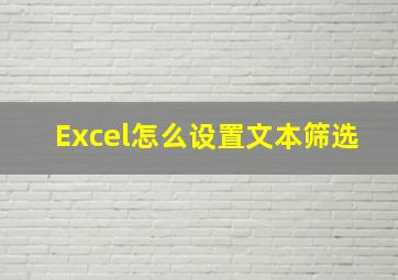 Excel怎么设置文本筛选