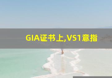 GIA证书上,VS1意指